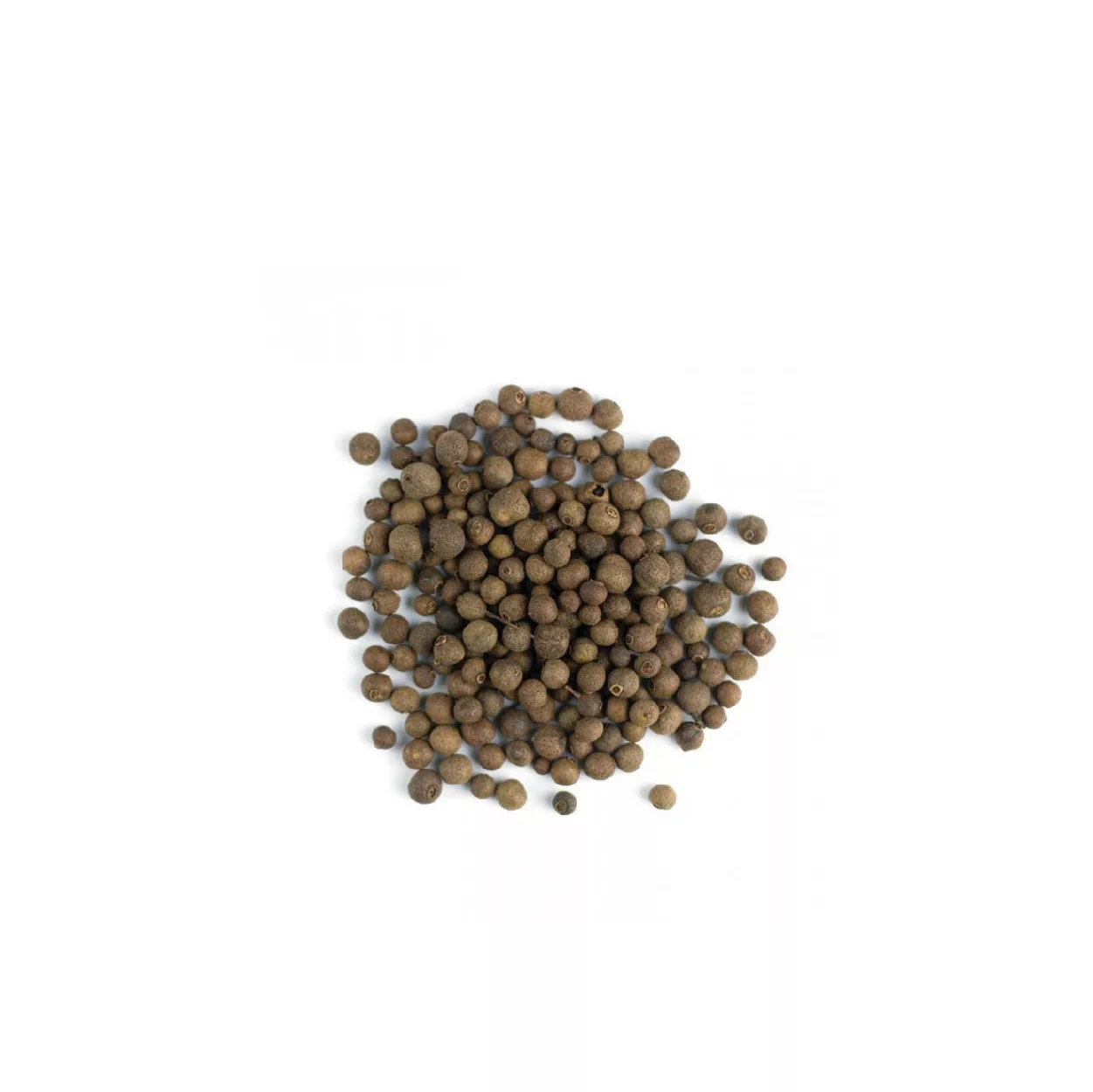 BOTANICO PIMIENTA DE JAMAICA