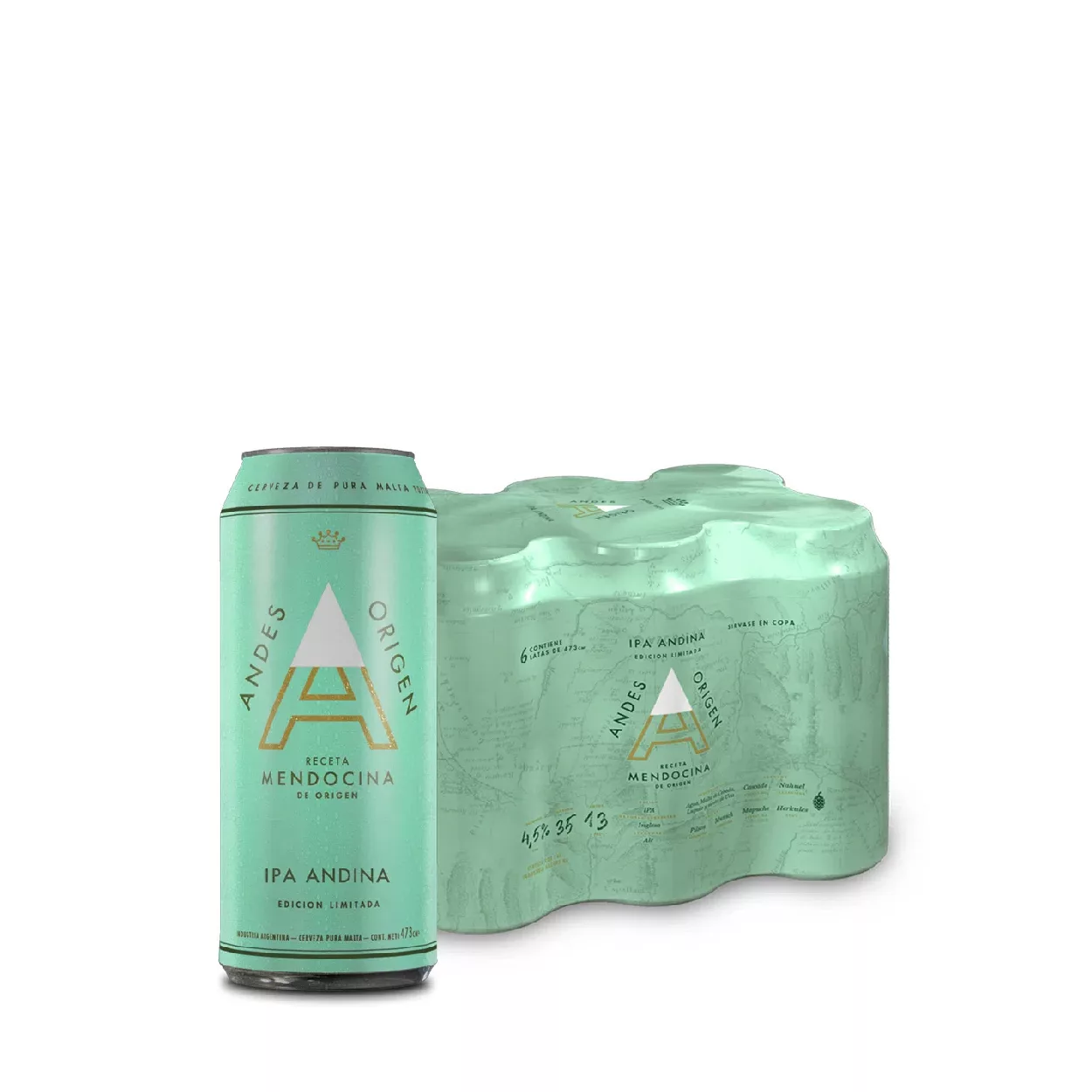 PACK 6 ANDES ORIGEN IPA 473CC
