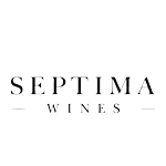 LOGOS MARCAS WEB (9)